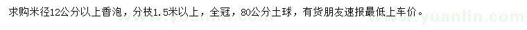 求购米径12公分以上香泡