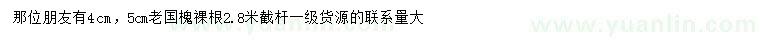 求购4、5公分老国槐