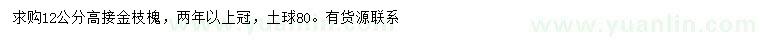 求购12公分高接金枝槐