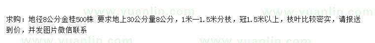 求购地径8公分金桂