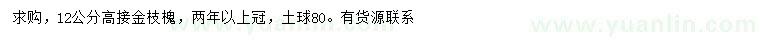 求购12公分高接金枝槐