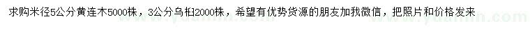 求购米径5公分黄连木、3公分乌桕