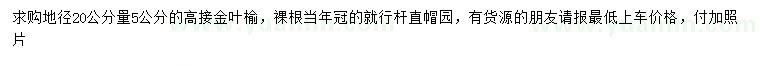 求购地径20公分量5公分高接金叶榆