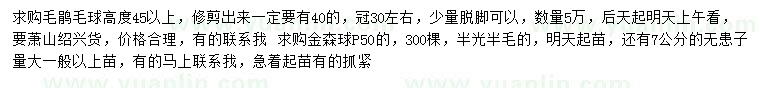 求购毛鹃毛球、金森球、元患子