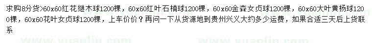 求购红花继木球、红叶石楠球、金森女贞球等