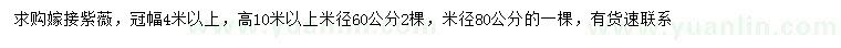 求购米径60、80公分嫁接紫薇