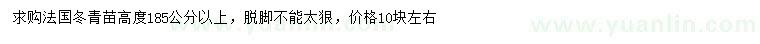 求购高185公分以上法国冬青