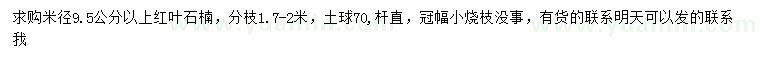 求购米径9.5公分以上红叶石楠