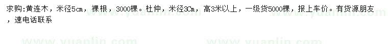 求购米径5公分黄连木、3公分杜仲