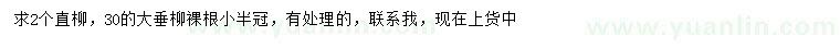 求购2公分直柳、30公分大垂柳