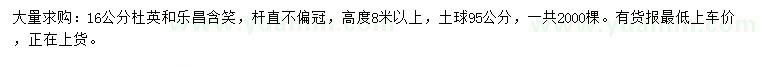 求购16公分杜英、乐昌含笑