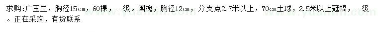 求购胸径15公分广玉兰、胸径12公分国槐