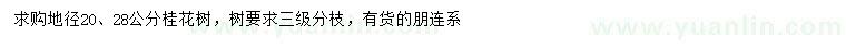 求购地径20、28公分桂花