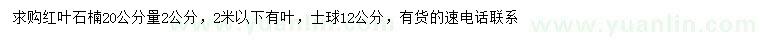 求购20公分量2公分红叶石楠