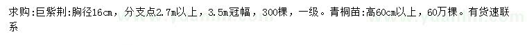 求购胸径16公分巨紫荆、高60公分以上青桐