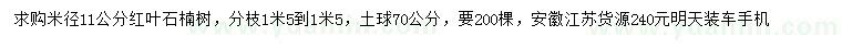 求购米径11公分红叶石楠