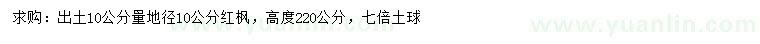 求购10公分量地径10公分红枫