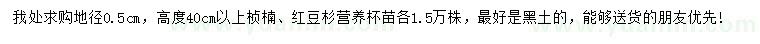 求购高度40公分以上桢楠、红豆杉