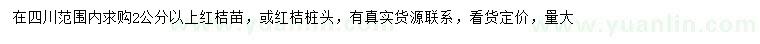 求购2公分以上红桔苗、红桔桩