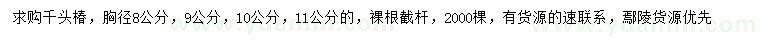 求购胸径8、9、10、11公分千头椿