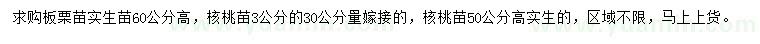 求购高板60公分板栗苗、30量3公分、高50公分核桃苗