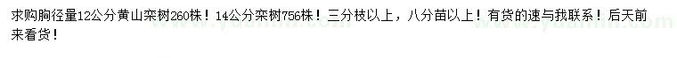 求购胸径12公分黄山栾树、14公分栾树