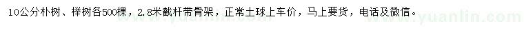 求购10公分朴树、榉树