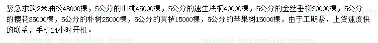 求购油松、山桃、速生法桐等