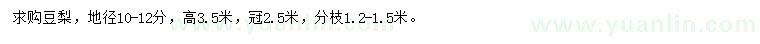 求购地径10-12公分豆梨