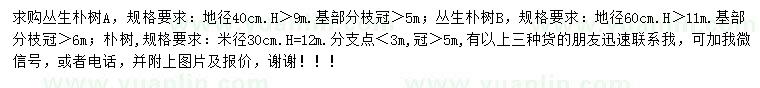 求购地径30、40、60公分丛生朴树、朴树