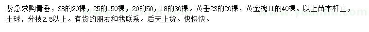 求购青垂、黄垂、黄金槐