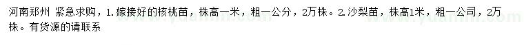 求购高1米核桃苗、沙梨苗