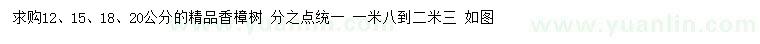 求购12、15、18、20公分精品香樟树