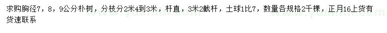 求购胸径7、8、9公分朴树