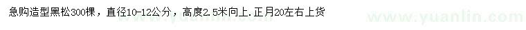 求购直径10-12公分造型黑松