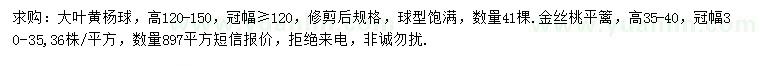 求购高120-150公分大叶黄杨球、高35-40公分金丝桃平篱