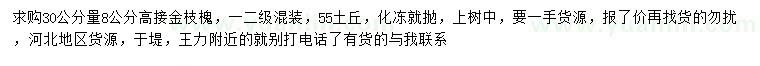 求购30量8公分高接金枝槐