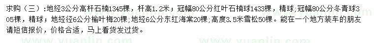 求购高杆石楠、红叶石楠球、冬青球等