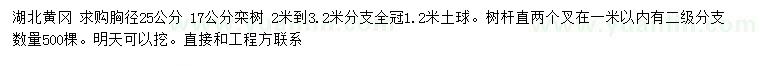 求购胸径17、25公分栾树