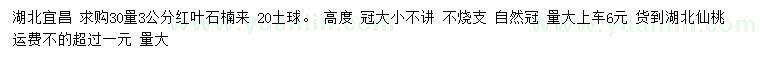 求购30量3公分红叶石楠