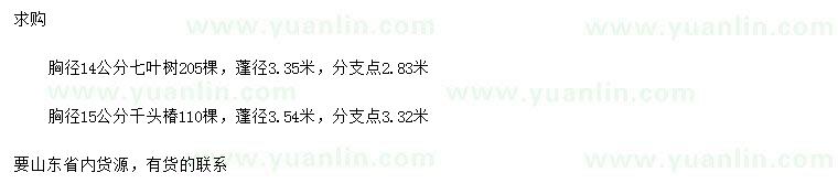 求购胸径14公分七叶树、胸径15公分千头椿