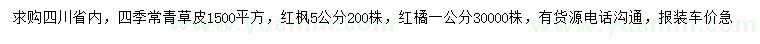 求购四季常青草皮、红枫、红橘