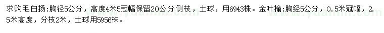 求购胸径5公分毛白杨、金叶榆