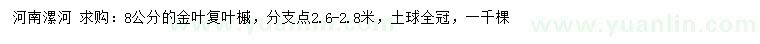 求购8公分金叶复叶槭