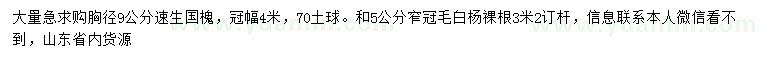 求购胸径9公分速生国槐、5公分窄冠毛白杨