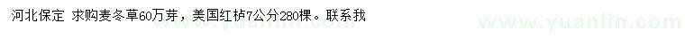 求购麦冬草、7公分美国红栌