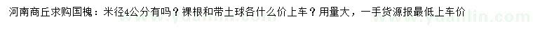 求购米径4公分国槐