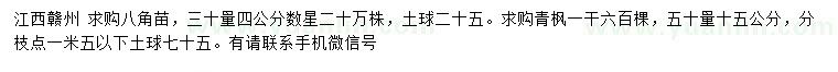 求购30量4公分八角苗、50量15公分青枫