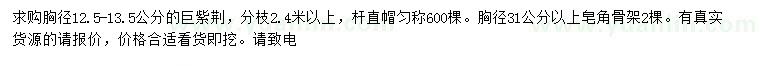 求购胸径12.5-13.5公分巨紫荆、胸径31公分以上皂角