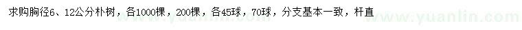 求购胸径6、12公分朴树